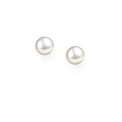 White Freshwater Pearl Stud Earrings - 8 mm