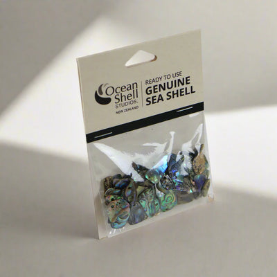 TUMBLED PAUA SHELL PIECES