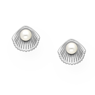 Sterling Silver Clam Shell & Freshwater Pearl Stud Earrings
