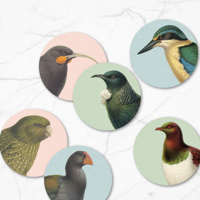 Birds & Botanicals of NZ Set of 6 Coasters