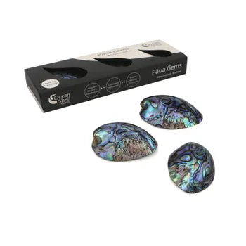 Paua Shell Gems in Gift Box